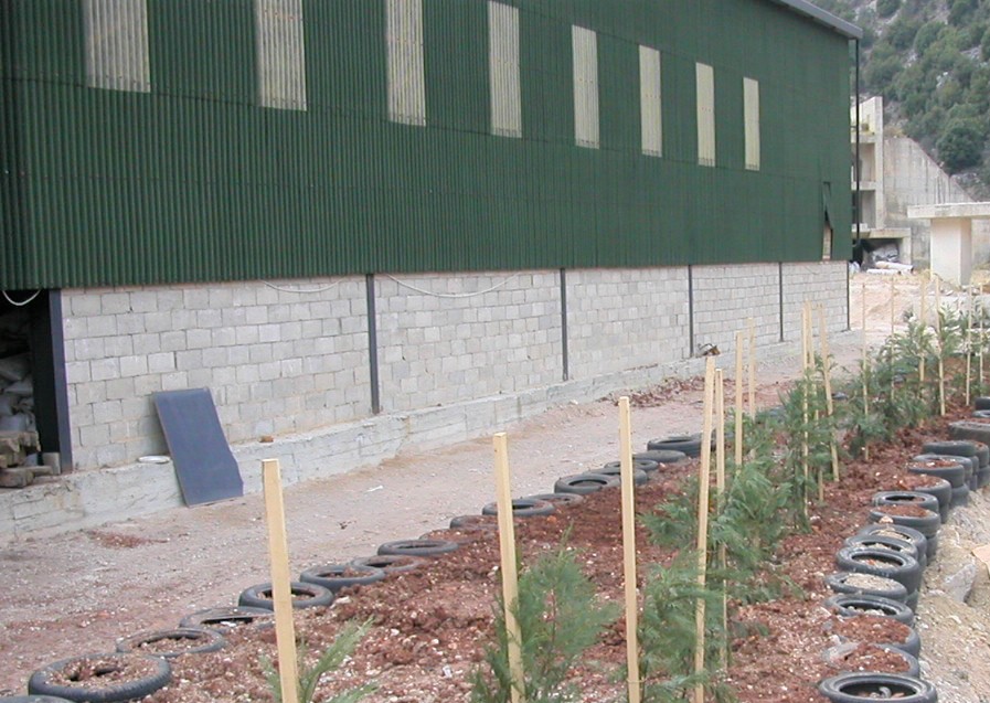 Ziad_AC's tweet photo. I hate dead spaces. we had this 48m long by 2m high wall in our research center. I wanted so much a "smart" cover. When we developed #ecoboard I decided to make it a productive #greenwall. We planted it #Zaatar & its been super productive. #zerowaste #recycling #Lebanon #plastics https://t.co/7ETtnxfT00