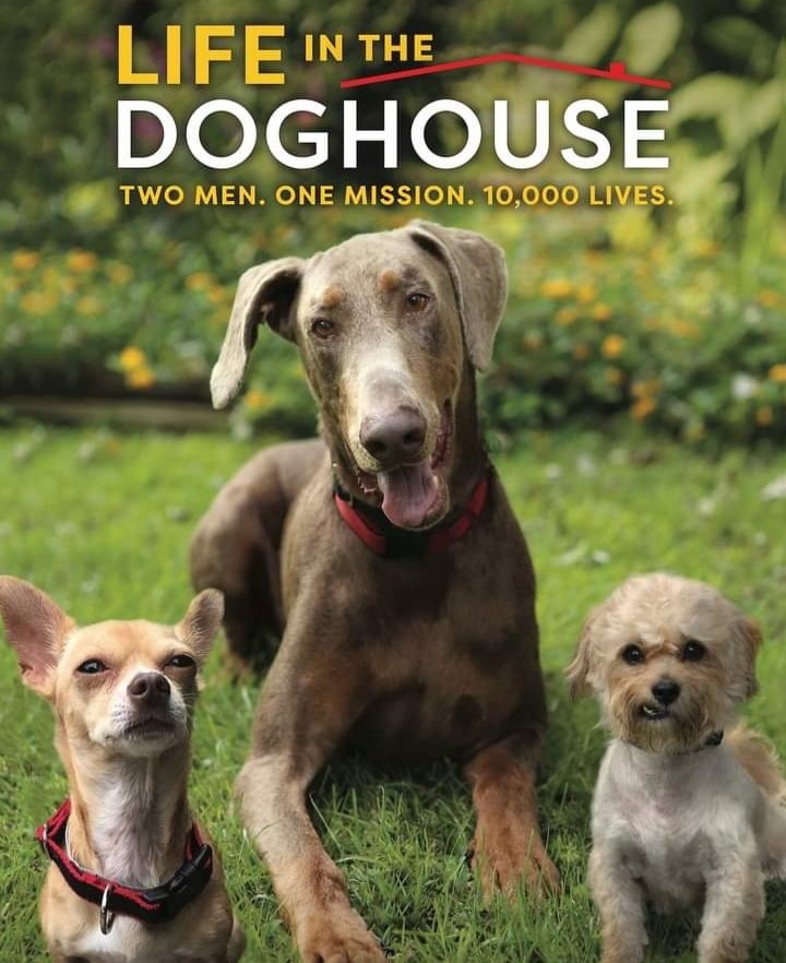 Looking for a great family movie to watch this weekend? Danny & Ron's Rescue fans love to watch (and re-watch!) our 2018 award-winning documentary Life in the Doghouse ––Two Men, One Mission, 10,000 Lives Saved (and counting!) 1/