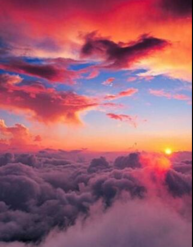 معاذ tweet media