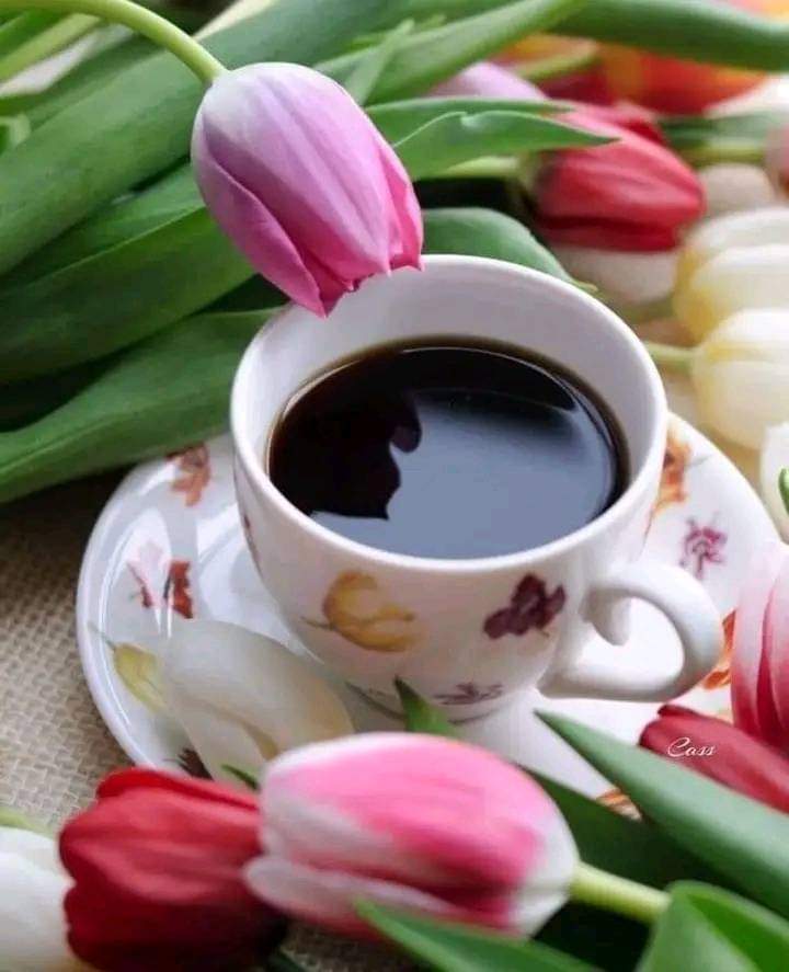 Alaayous3's tweet photo. #loyal #AMY🅰️
@Alaayous3
@tou_fitri
@Linyuling99999
@OlgaPart1
@Elvira57538981
@hind_m7mad99
@satansradio666
@AmbeSparrow
@antoniaparra8
@Sonia40933646
@JoseCastroVaca1
@imran1t
@Noo500ra
@CathyCa1
@SabyMis
@n221o11
@ijjbf
@SusyHurtado3
@Sami3464S
@doaamohamd10
@RealKinzaKhan https://t.co/FV284KHqur