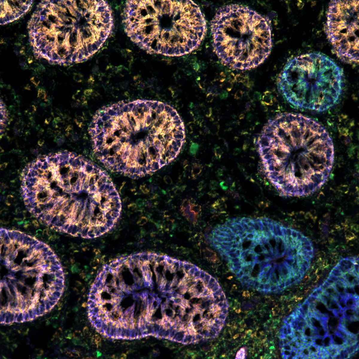 Duncan Rutherford tweet media