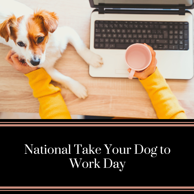 ForYourFurKids's tweet photo. You have the best coworkers when you can bring your dogs to work! 🐶❣️ https://t.co/AieB6mWrtA