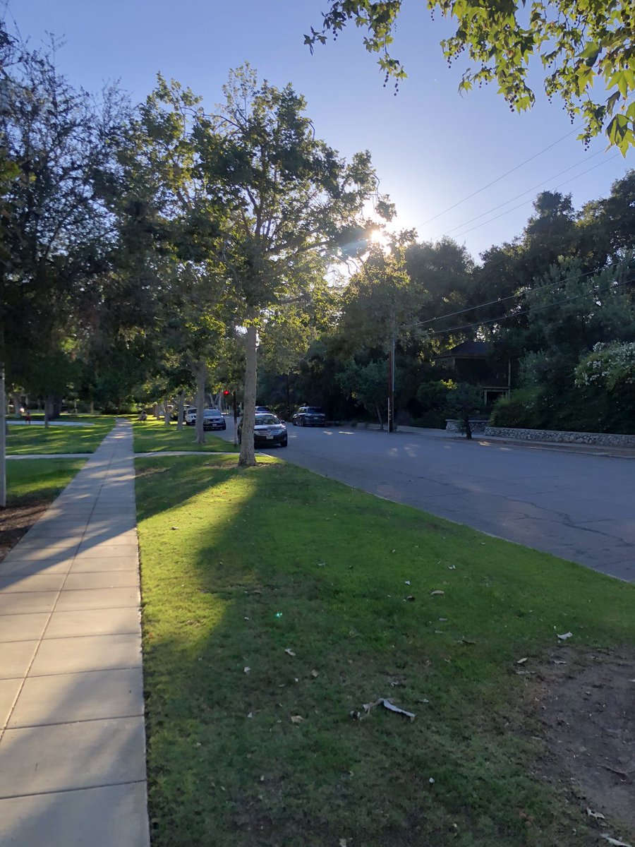 NormanACoulter's tweet photo. Walk #5
It’s a challenge to not dismiss the #walkinbeauty. There’s always something “more important to do”. But…Piercing sunbeams yesterday, putting up jumpers at the park, wife’s company… #Leadself https://t.co/PZKhjwrSWh