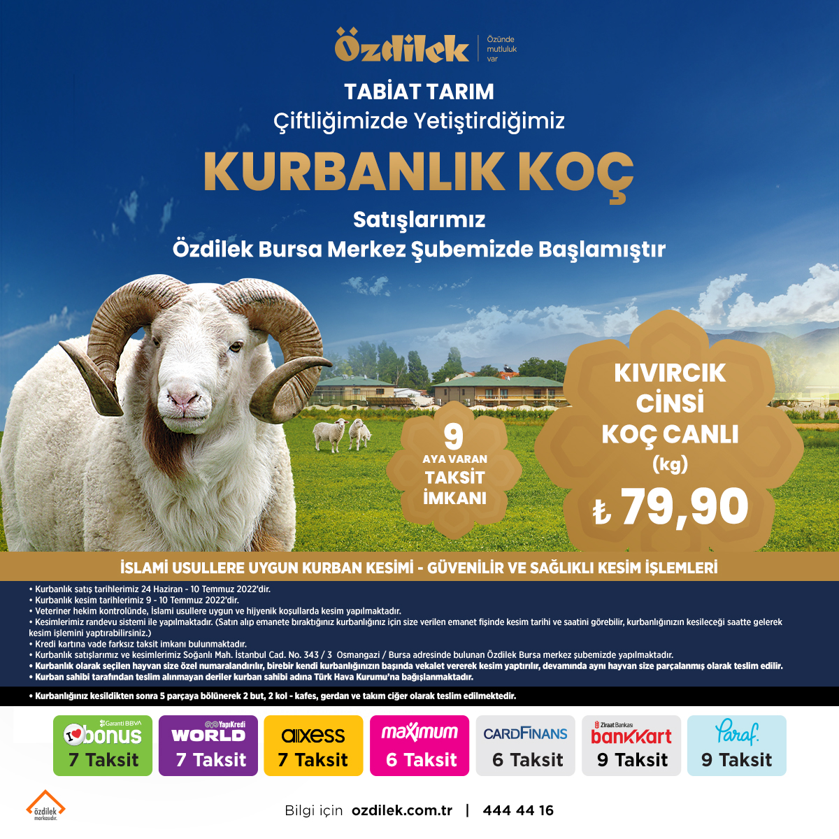 tabiattarim's tweet photo. Tabiat Tarım çiftliğimizde yetiştirdiğimiz kurbanlık koç satışlarımız, 24 Haziran - 10 Temmuz 2022 tarihleri arasında Özdilek Bursa merkez şubemizde başlamıştır.🐏

#Özdilek #tabiattarım #kurbanlık #bursakurbanlık #bursakurbansatışı https://t.co/S1sZtY1VZZ