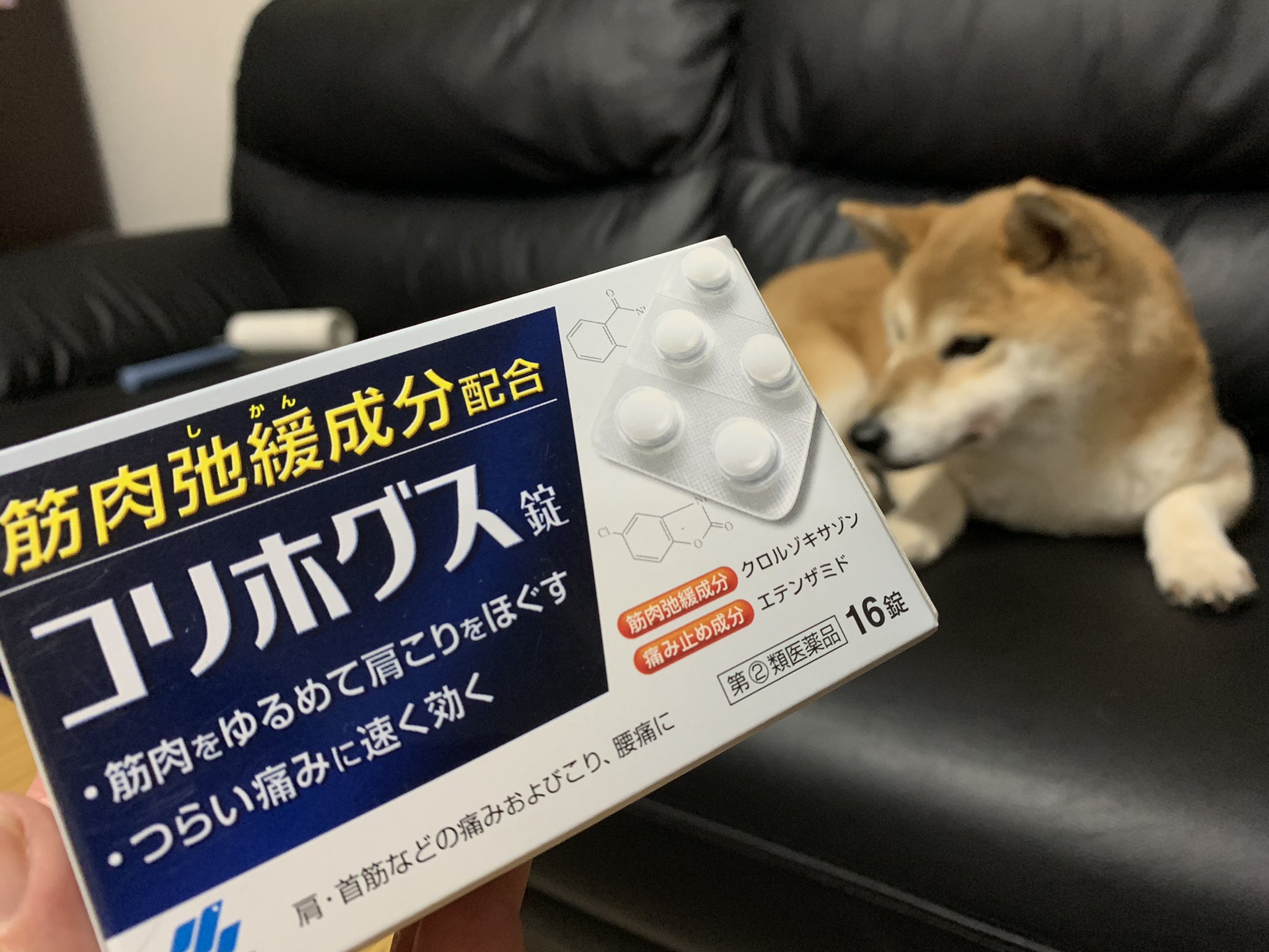 小林製薬の糸ようじ Twitter Search Twitter