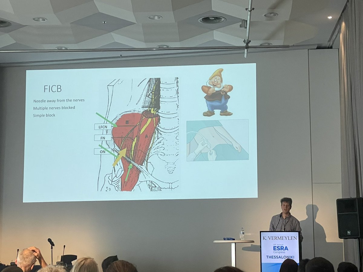 SCasaer's tweet photo. One happy dwarf among the options for #regionalanesthesia for hip surgery #FICB @KVermeylen #ESRA2022 @ESRA_Society @BelgianBara https://t.co/5sT8g508oM