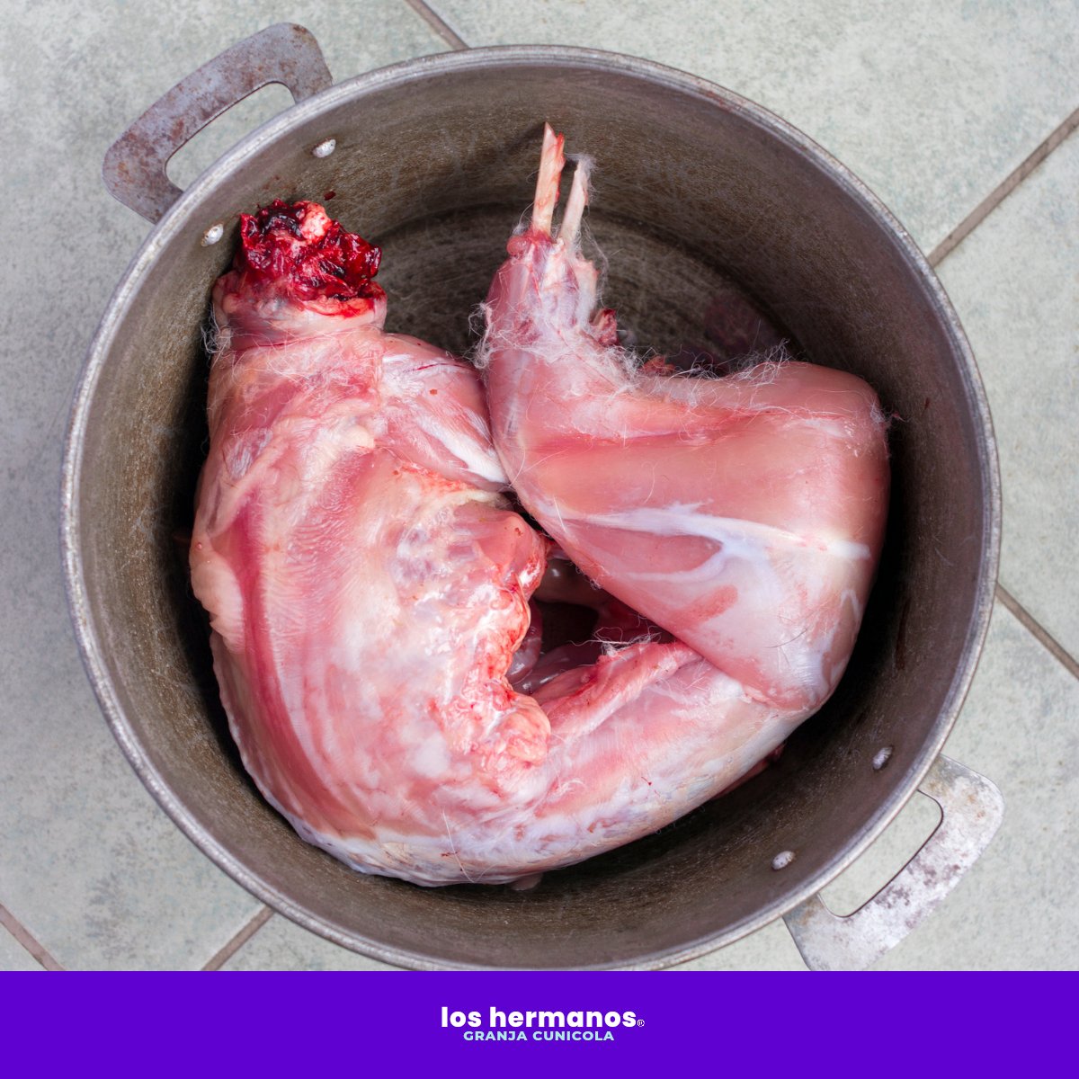 ConejosGranja's tweet photo. La #CarneDeConejo es un alimento ideal para incluir en tu menú semanal:

• Es una carne blanca
• Baja en grasa
• Y fácil de digerir.

¡Y además la podemos encontrar todo el año!

#GranjaLosHermanos https://t.co/EBWIyWtSHY