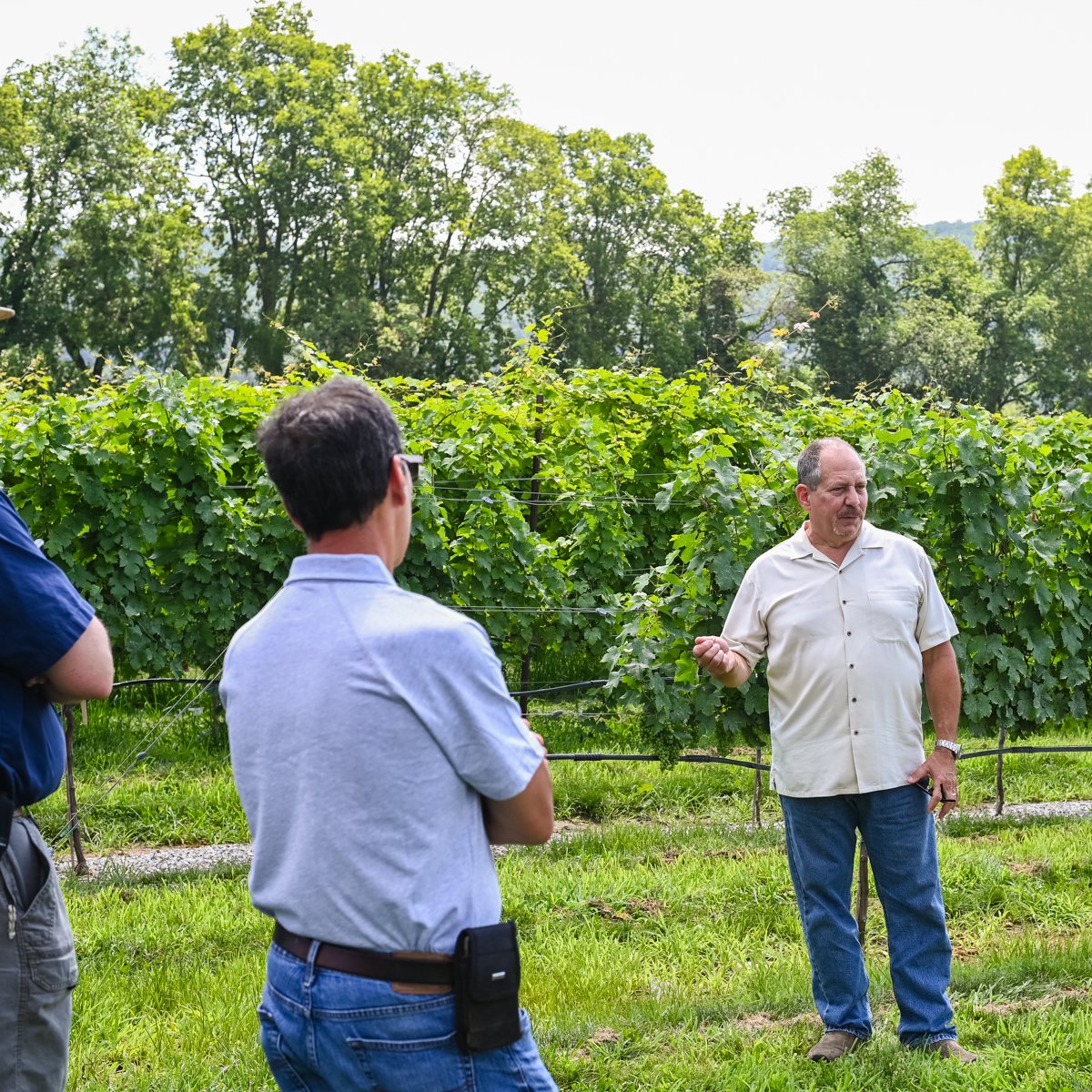 VillaMilagroNJ's tweet photo. Time at #VillaMilagroVineyards is always time well spent. What's your favorite memory with us? #winery #vineyard #LiveMusic #LocalVineyard #LocalWine #newjerseywine https://t.co/JugJVuXxGL