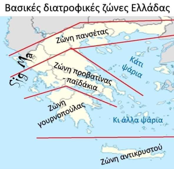 Uncle Pester tweet media