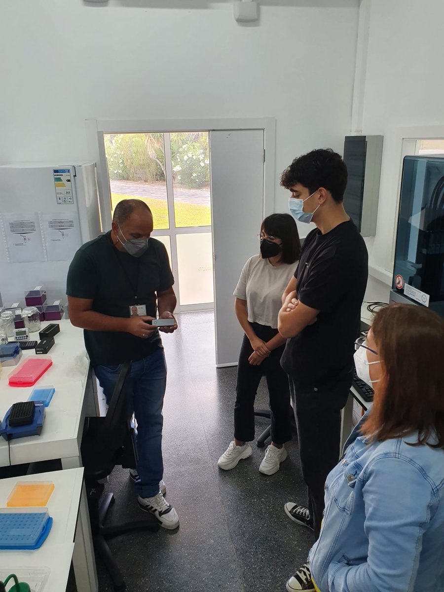 ITERtenerife's tweet photo. El personal investigador del Área de Genómica🧬del ITER ha recibido hoy a Liam del del IES Las Veredillas, uno de ganadores de #CanariasMasterclass, que ha participado en la sesión de mentorización para conocer en primera persona, la realidad de la que formará parte en el futuro. https://t.co/QXgNDzFgO9