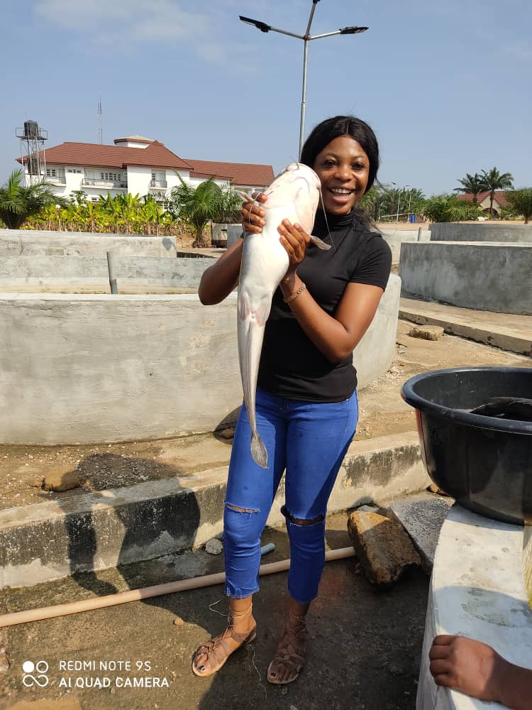 Welcome to Agbani farms.