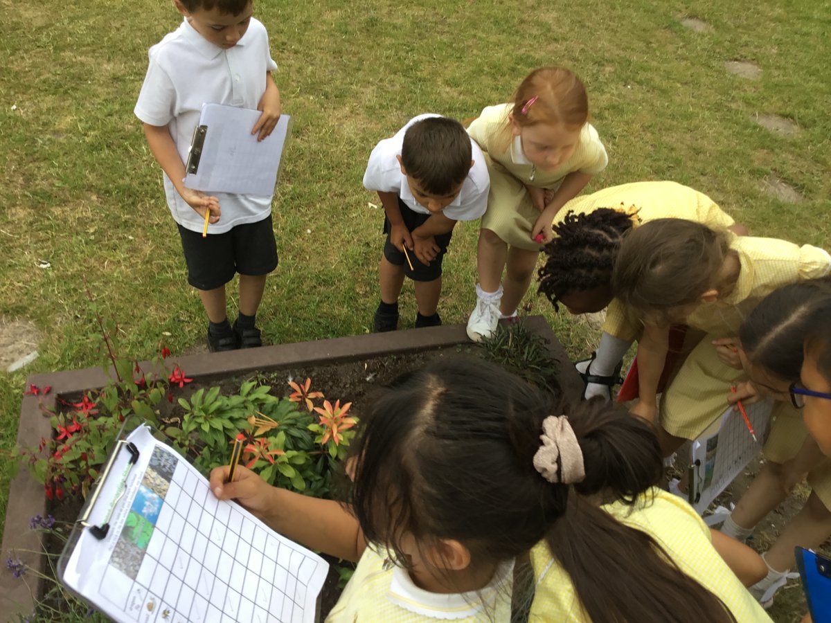 2E_stjohns's tweet photo. Watch out, minibeasts about! 🐝🪱🐛🐞🐜 we  found  a  range  of  minibeasts  on  our  hunt  this  afternoon!  Can  you  spot  any  in  our  photos? https://t.co/INwvhYNTaU