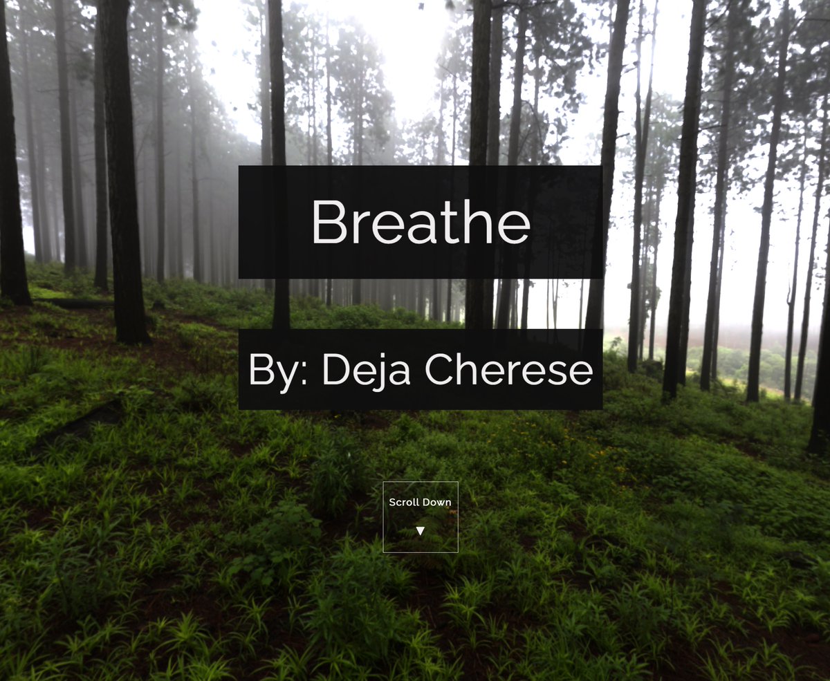 dj_coder_design's tweet image. A fun project I made this past week, check it out!
breathawaken.netlify.app
#webgl #creativecoding #PassionPurposeProductivity