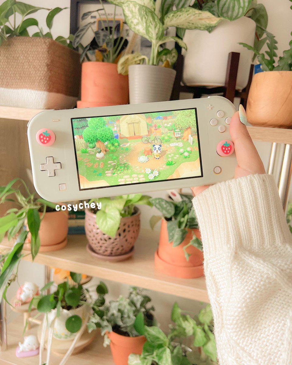 cheyleif's tweet photo. 🪴 happy fridayyyyy 🤍🪴

#AnimalCrossing #plants https://t.co/KZhrewHwvV