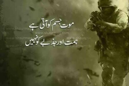 Qasim Khan Suri tweet media