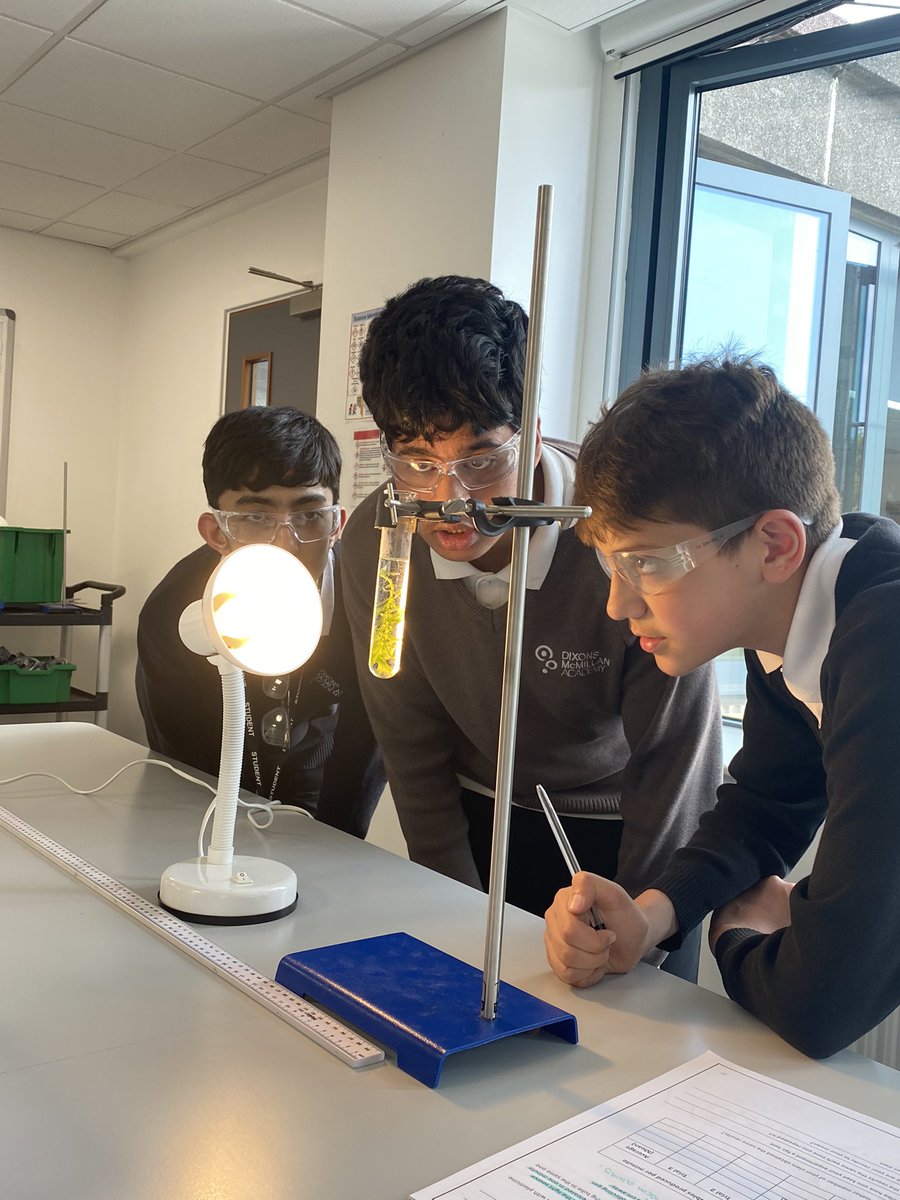 MuhibaAhmed's tweet photo. Investigating the effect of Light Intensity on the rate of Photosynthesis with 9.4 today 🌿💡 https://t.co/Ide0Fwy3mZ