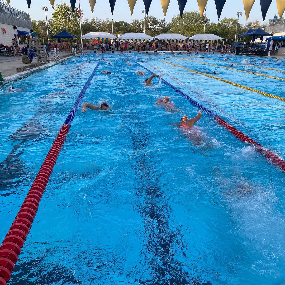 Blue Tide Aquatics tweet media