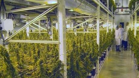 CBC New Brunswick tweet media