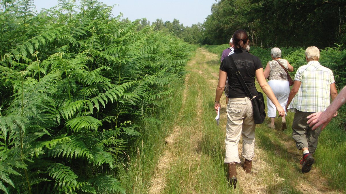 Wandelen door de Peel <a href="/LandvandePeel/">Land van de Peel</a> 'while talking English'. Zondag 26 juni is het weer de maandelijkse <a href="/walk_english/">Walk English</a> Tevoren aanmelden via walkenglish.nl Start vanaf Hoeve Willem III, Helenaveen landvandepeel.nl/nl/de-regio/de…