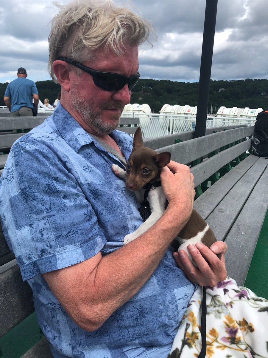 eliseliselise's tweet image. My dad got a puppy yesterday 😭😭😭