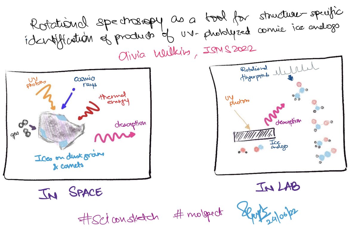 Divs_astrowise's tweet photo. This is my first attempt at #SciConSketch. But since I’ve loved looking at #ISMS2022 talk summaries through your @LivWithoutLimit art. Here’s my attempt for yours.
And great talk! Looking forward to seeing more cool results in the future! 😊 #molspect https://t.co/o0kC2RrhHS