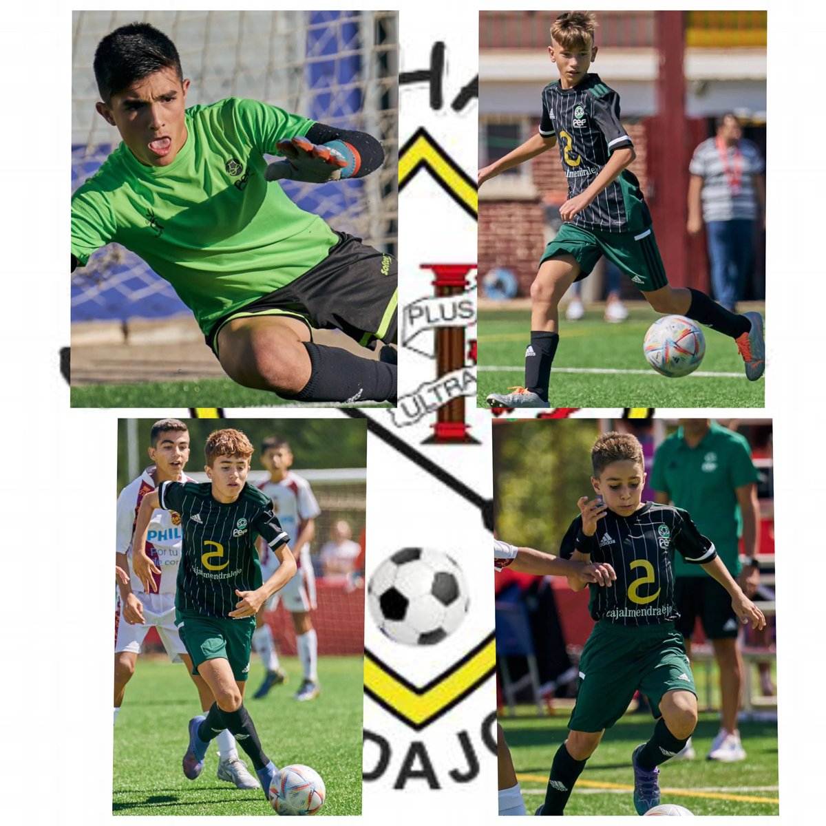 cpflecha's tweet photo. #OrgulloFlechista

Manu, Dani Hereda, Pablo López y David García disputando el campeonato de España con la Selección Extremeña. 
Derrota ante Pais Vasco y victoria ante Murcia. https://t.co/v79MZ22VGs