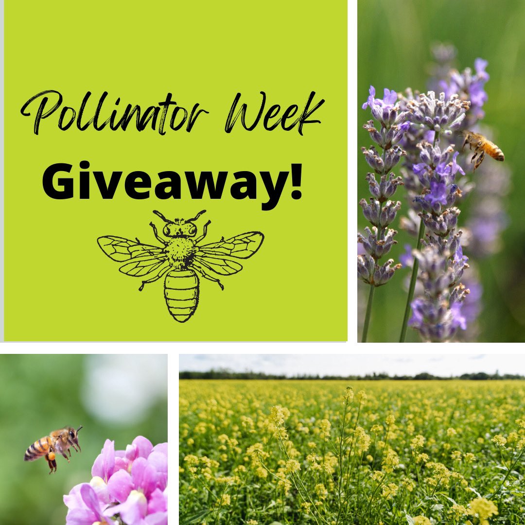 BeeMaidHoney's tweet photo. We have a sweet Giveaway contest running on Instagram to celebrate Pollinator Week! 

🐝🦇🪲🪰🐝🦇🪲🪰🐝🦇🪲🪰 https://t.co/z7RL6lQrQ2