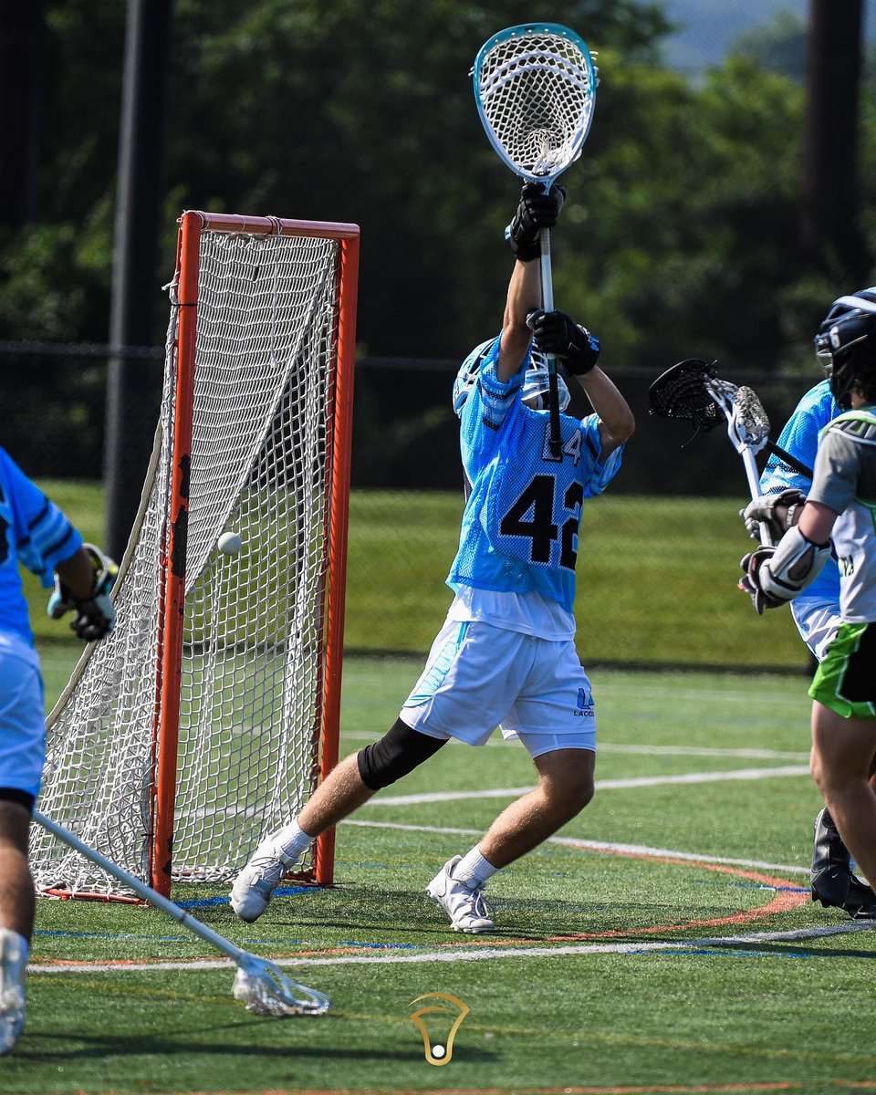 Aloha Tournaments tweet media