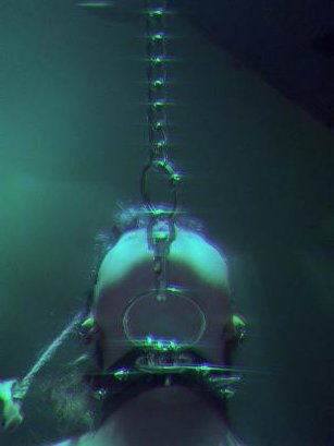 1 pic. These are so fun to me :3 https://t.co/ZjcqSVSAoh