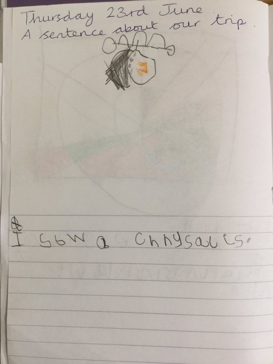 MD_Class1's tweet photo. Today we spoke about our school trip to Tropical world. The children had to write a sentence about what they saw and draw a picture. We had some very good memories! 

@MD_MrsThompson #MDTrip #MDWriting https://t.co/hkBEVY4tgH
