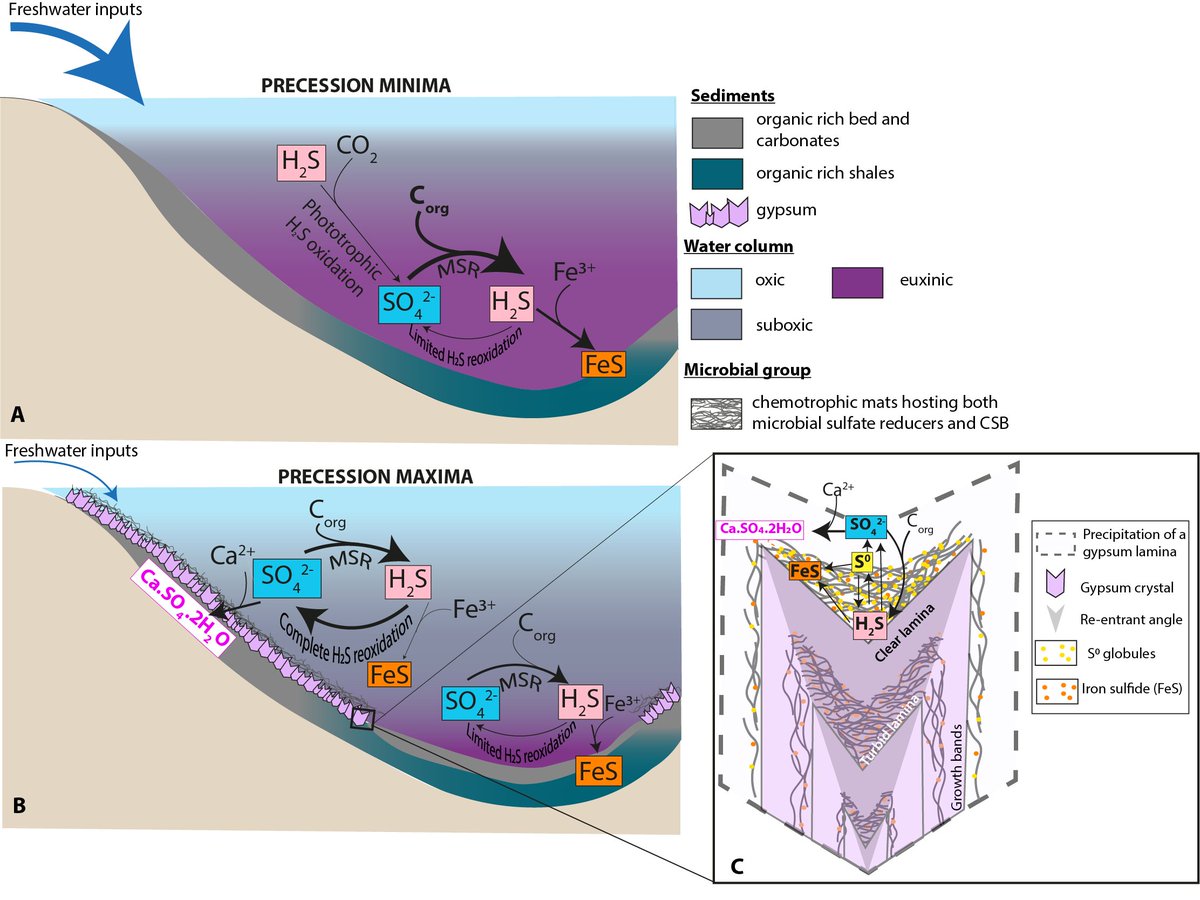 Laetitia Guibourdenche tweet media