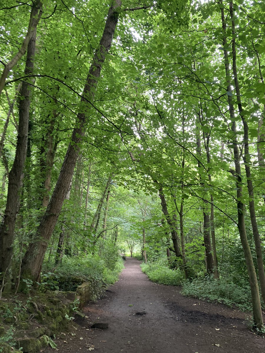 helenlclarke's tweet photo. Where shall I go today? #Rivelin #Sheffield #theoutdoorcity @rivelin_valley @theoutdoorcity #Sheffieldissuper https://t.co/0ae2LjcDXW