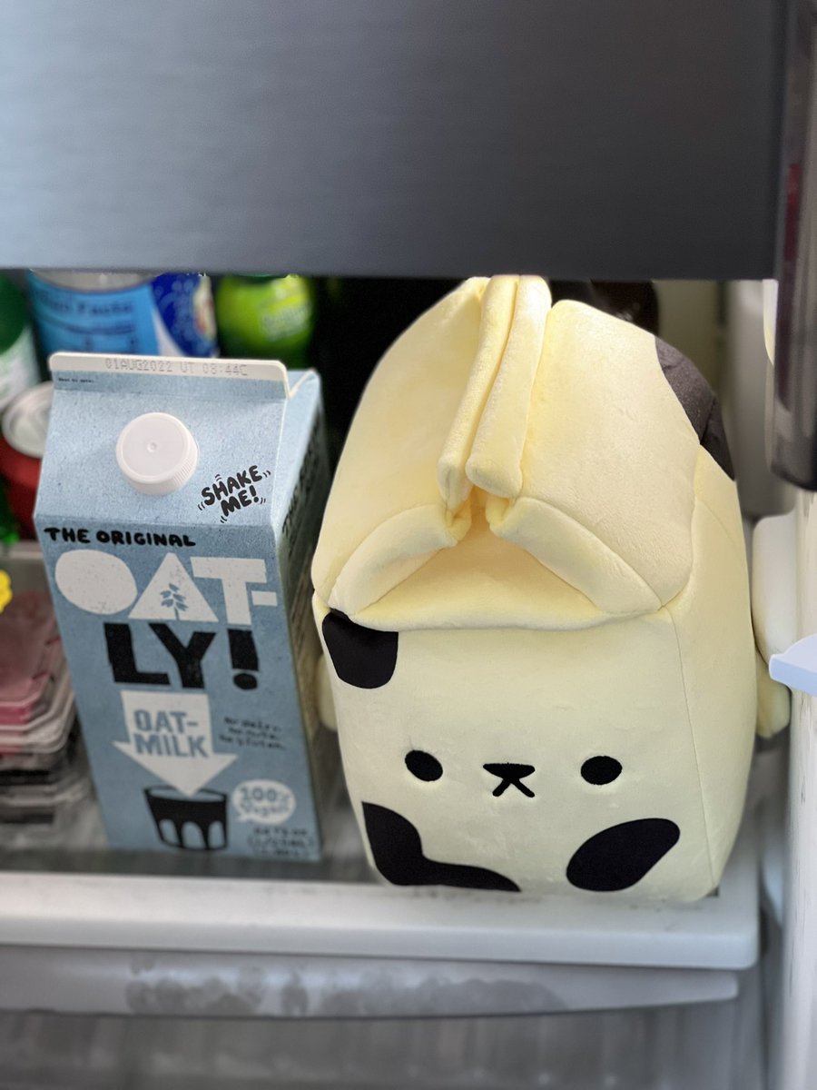 Don’t forget to put your @coolcatsnft milk in the fridge. #CooltopiaNYC #WLTC