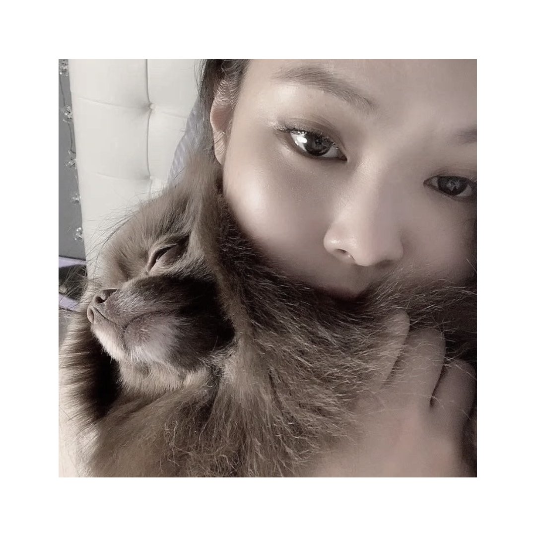 ૮ • ﻌ - ა tweet media