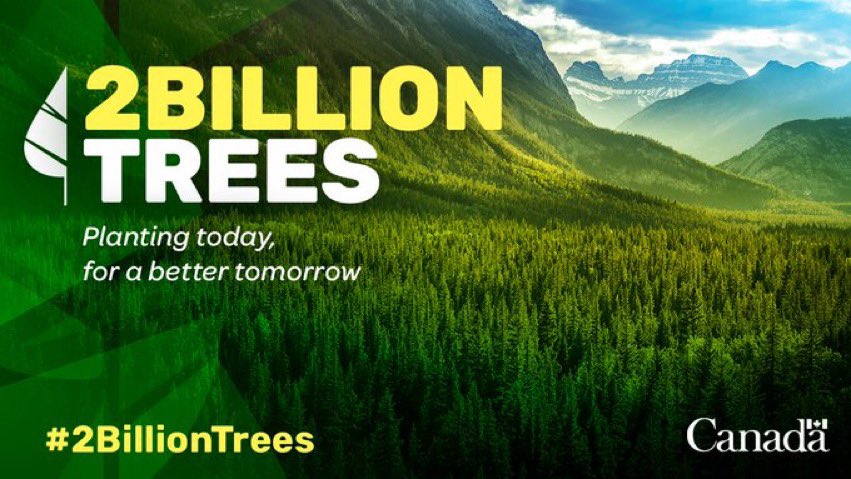 Blacklock's Reporter (@mindingottawa) on Twitter photo “How can you spend $3.1M on a tree planting program announced in 2019 & not plant any trees?”
ANSWER: Info tech costs, public relations, consultants, gov’t salaries.
PODCAST: Blacklock’s & <a href="/MikeSmythNews/">Mike Smyth</a> on <a href="/CKNW/">CKNW</a> Vancouver.
omny.fm/shows/mike-smy…
<a href="/NRCan/">Natural Resources</a> <a href="/JonathanWNV/">Jonathan Wilkinson 🇨🇦</a> “How can you spend $3.1M on a tree planting program announced in 2019 & not plant any trees?”
ANSWER: Info tech costs, public relations, consultants, gov’t salaries.
PODCAST: Blacklock’s & <a href="/MikeSmythNews/">Mike Smyth</a> on <a href="/CKNW/">CKNW</a> Vancouver.
omny.fm/shows/mike-smy…
<a href="/NRCan/">Natural Resources</a> <a href="/JonathanWNV/">Jonathan Wilkinson 🇨🇦</a>
