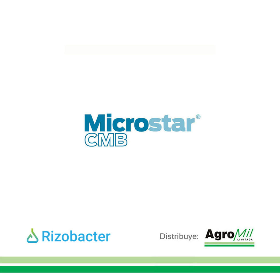 agromil_ltda's tweet photo. Colza con #MicrostarCMB a 🗓 20 días de la siembra. 📍 Paraje Lomas, Rocha. 👥 Agrocentro, Rizobacter.
#MicrostarColza #RizobacterUruguay https://t.co/ZbjUGfBjHa