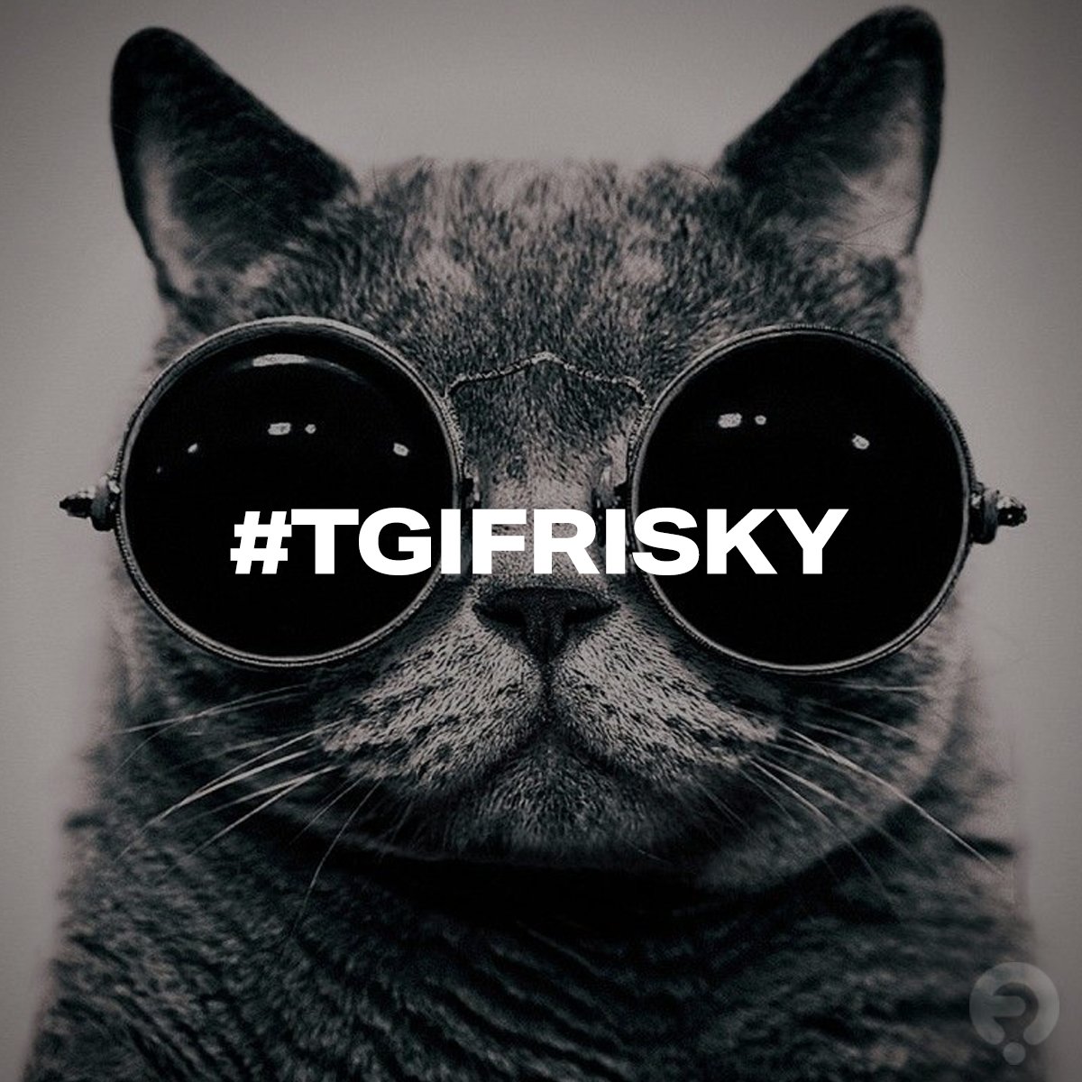 FRISKY (@friskyradio) on Twitter photo New #TGIFRISKY playlist! Mixes by <a href="/MBryan__/">mbryan_music</a> <a href="/Medzelmusic/">Medzelmusic</a> <a href="/AlejoGonzalez_/">Alejo Gonzalez</a> <a href="/FedericoEpis/">Fede Epís</a> <a href="/djcreammusic/">CREAM</a>
#Framewerk @fedemonachesi & more !
Listen now at —>
frisky.fm/browse/playlis… New #TGIFRISKY playlist! Mixes by <a href="/MBryan__/">mbryan_music</a> <a href="/Medzelmusic/">Medzelmusic</a> <a href="/AlejoGonzalez_/">Alejo Gonzalez</a> <a href="/FedericoEpis/">Fede Epís</a> <a href="/djcreammusic/">CREAM</a>
#Framewerk @fedemonachesi & more !
Listen now at —>
frisky.fm/browse/playlis…