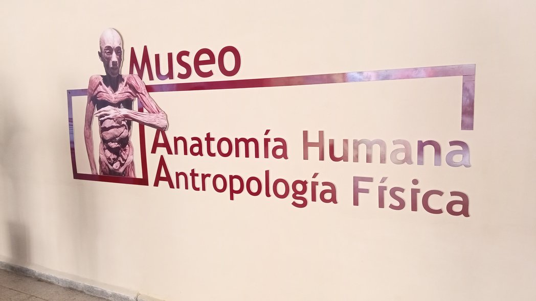 MMarreroCruz's tweet photo. Iniciamos la última jornada de la 4ta Visita Gubernamental a #Matanzas, en la @UCM_Matanzas, donde recorrimos el recién inaugurado Museo de Anatomía Humana y Antropología Física, que tendrá un gran impacto en el aprendizaje de los estudiantes.
#AlPuebloNosDebemos #Cuba 🇨🇺 https://t.co/k7q8kXOJxM