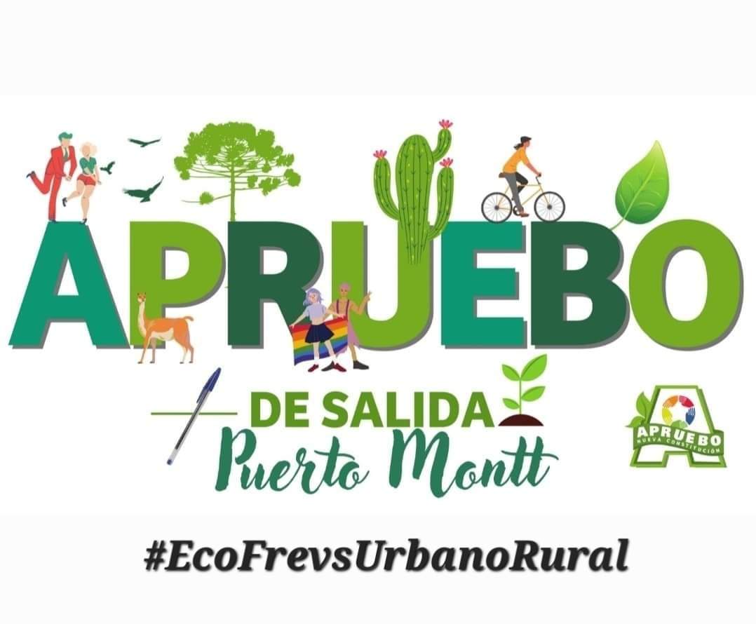 PuertoMontt_X's tweet photo. Nuestro Gobierno es el Gobierno de la #AgriculturaFamiliarCampesina
De la #AgroEcologia de la #SeguridadySoberaniaAlimentaria de las #SemillasLibres #AgroEcologicas
el #PrimerGobiernoEcologista del #BuenVivir
#HagamosHistoria #ChileRegionalista
#EcoFrevsUrbanoRural
#EcoFREVS https://t.co/q64l80SEP7