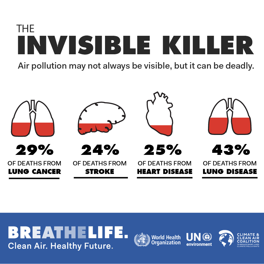 @apereznetreal @FedUpWithBadAir @KateForster20 @AJMyers4 @arabella6667 @cleanairforall2 @manojkumar_alp @EPA_Victoria @VicGovAu @dzyngier @GlenEiraVoice @SFotonium @healthy_climate @VictorianCHO @CenterEnvHealth @_PHAA_ @HPRU_EEH @HEALenviron @CAirCommunities @cleanaironea @AirFairy04 @EDFCleanAir @Healthy_Air @airqualitynews @SeeTheAirBot @MumsforCleanAir @MumsForLungs @SamanthaRatnam @NSW_EPA @yrcouncil @cleanairnow That's a common misperception. But the comparison of population health data across decades has provided us causal associations to short- & long-term health effects.

@WHO updated their #AirQuality guidelines in 2021 because they found there are no safe levels of #AirPollution.