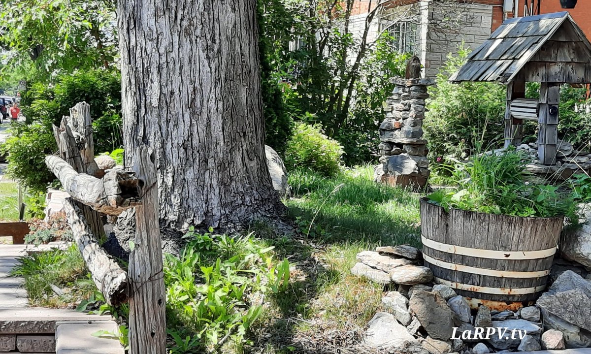 Larpvtv's tweet photo. Profitez bien de l'été 

#mtl #mtlview #montreal #montréal #mtlcity #mtlmoments #art #streetart #artist #Montréal #LaPVVtv #Rogiciel #outdoors #extérieur  #ahuntsic https://t.co/1QXq1VOfLb