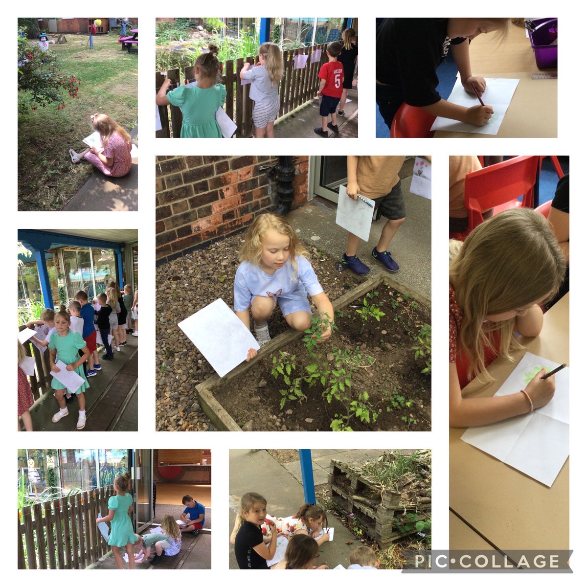 We’ve been out in our school quad this afternoon creating some art and exploring the wild. 🌸🍃⁦@SHINEmulti⁩ #art #30dayswild