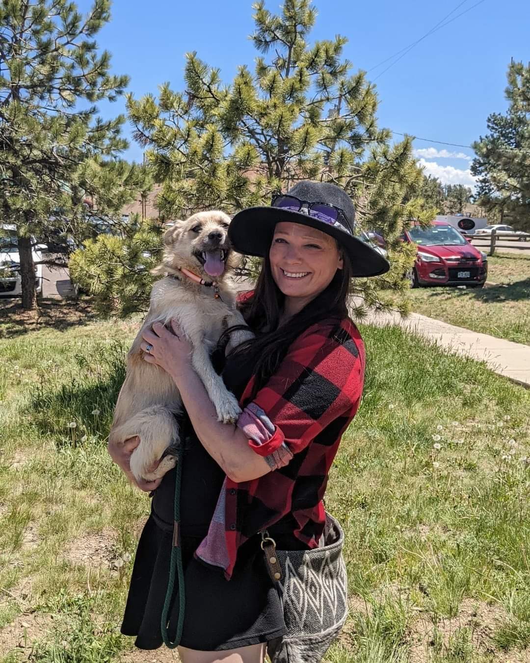 AmarilloPanhandle Humane Society (AphsHumane) / Twitter