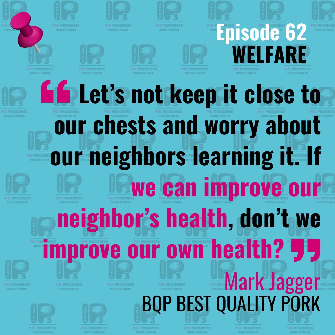 RealP3Podcast's tweet photo. Sharing your knowledge is a win-win situation that boosts your own performance and skills, improves your personal brand, and it returns to you in the form of help when you require it.  Don't miss this great episode https://t.co/VIVUJhKgZ2  
#pigproducer #pigproblems https://t.co/yRZhnI73tY