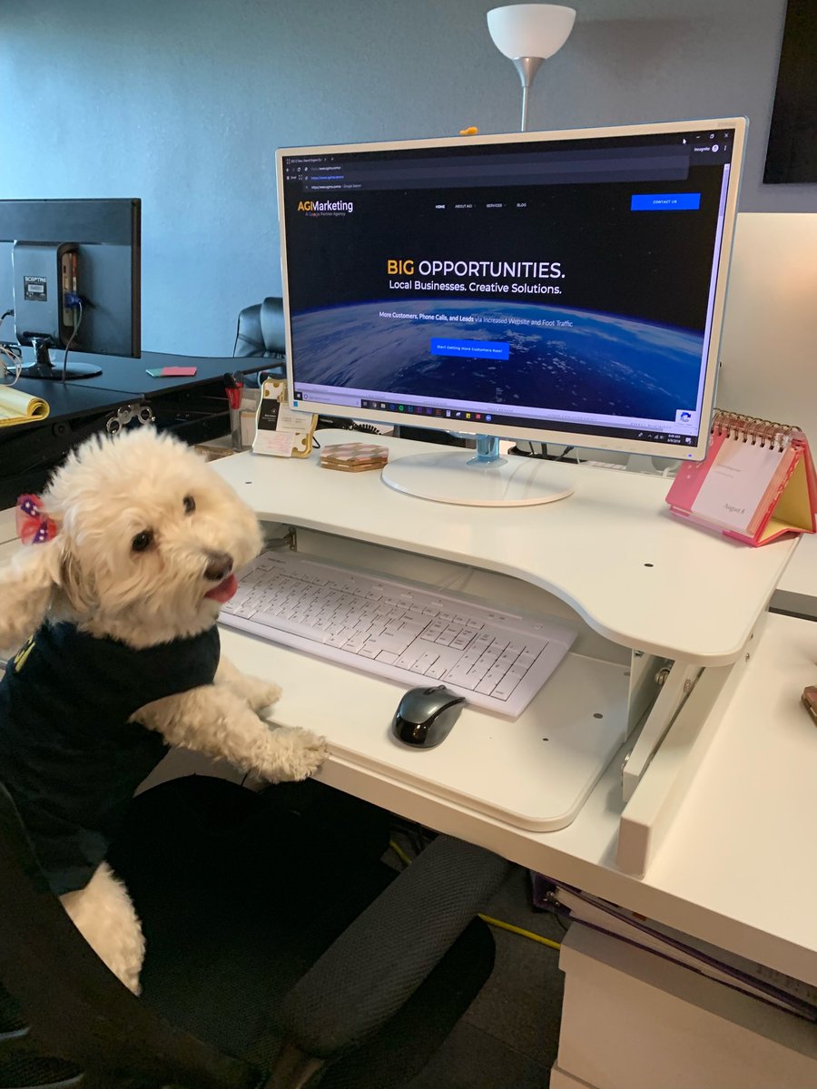 agi_marketing's tweet photo. Happy take your dog to work day! Meet Dixie, AGI's pooch showing off her digital marketing skills back when we were all in the office. #TakeYourDogToWorkDay #OfficePooch https://t.co/4YbTGRhad8