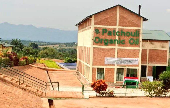ABPInfos's tweet photo. #Burundi Inauguration ce vendredi de l'usine d'huile de patchouli et le projet sur la pisciculture moderne à la colline #Mvugo de la commune #Nyanza_Lac dans  @makambaProvince. https://t.co/F9R6ucXcEF