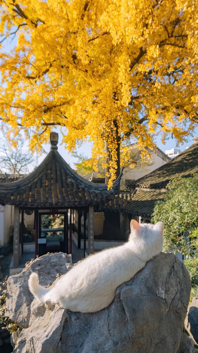 💦Nikita 🌼 (@nikolas_112) on Twitter photo 