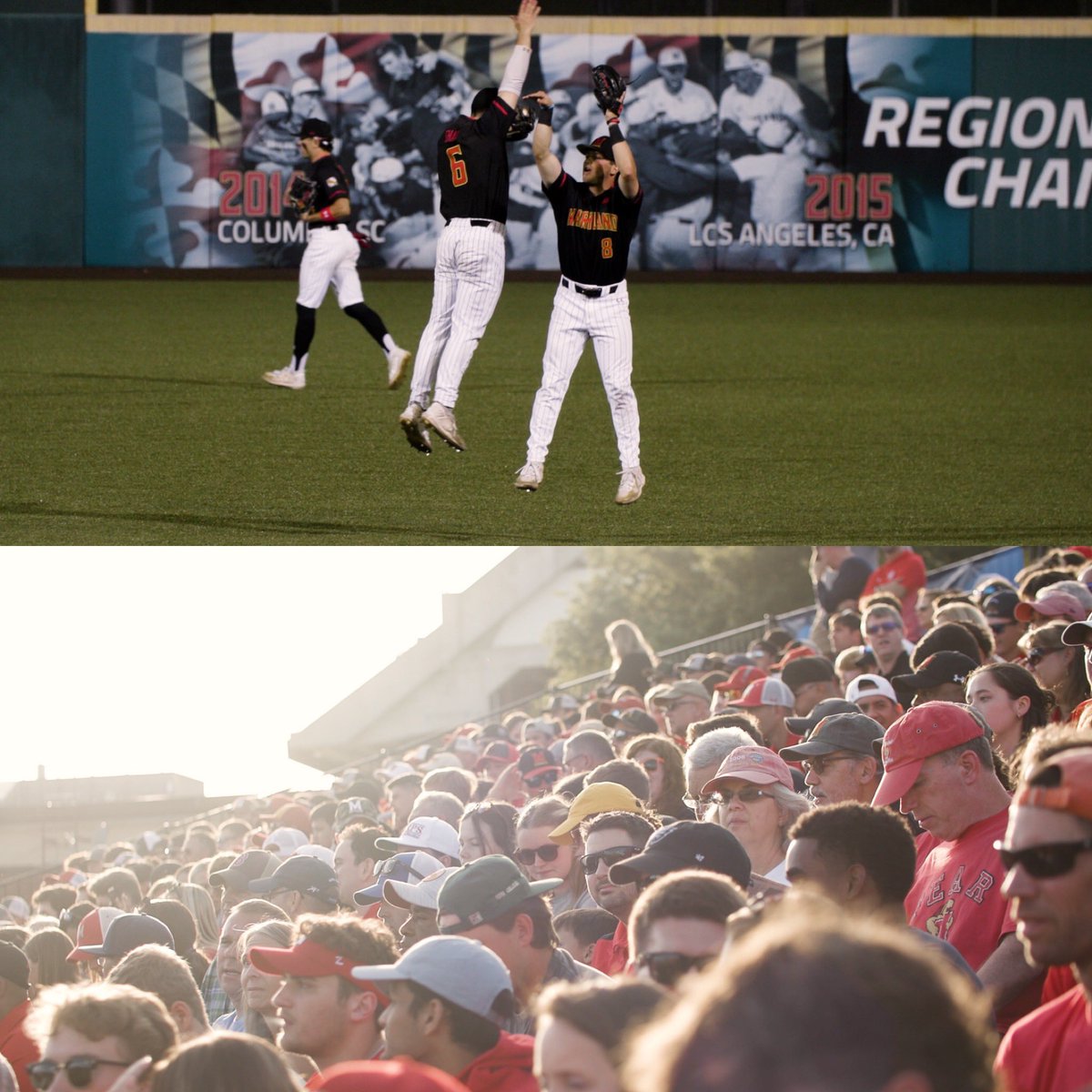 Hailey Yellin tweet media