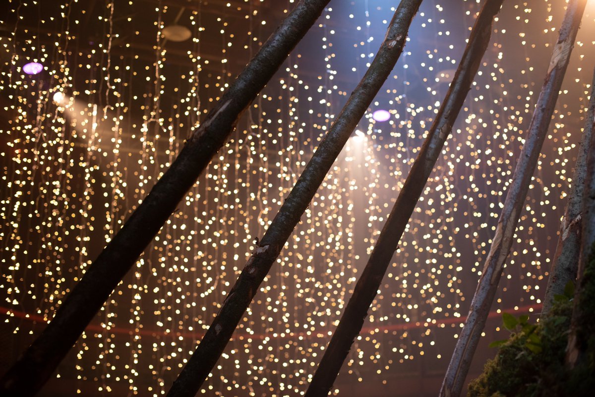 Welcome to the LIVING TREE this weekend. This free event includes playful installations, beautiful soundscapes & a fun Mirror Maze. Plus no need to book! 10am - 5pm, Sat & Sun. 'It’s a very important time to wake up and smell the forest.' - @AndrewAmondson 📸Abigail Tinnion