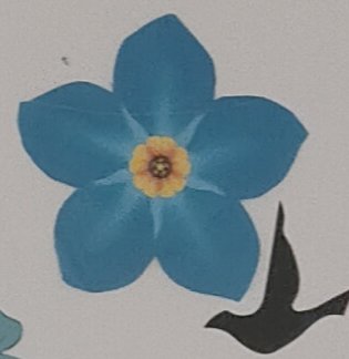 "forget me not" patients and family's sharing there memories and keeping them alive on Cragside ❣️ <a href="/Gateshead_NHS/">Gateshead Health NHS Foundation Trust</a> <a href="/HollieeClark/">Hollie Clark</a> <a href="/Ruru_Alderson/">Ruth</a> <a href="/JuliaNev1989/">Julia nevin</a> <a href="/DementiaQe/">Christine Fawcett</a> <a href="/vickilou2012/">Vicki Mayes</a> <a href="/DementiaMattuk/">Dementia Matters</a> <a href="/starwards/">Star Wards</a> @YvonneOrmston